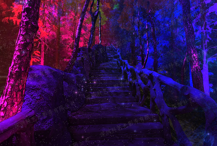 網紅夢幻森林光影秀