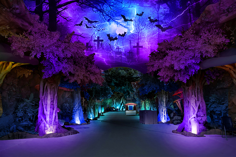 1541055275736790.jpg 景區夢幻燈光秀設計.jpg