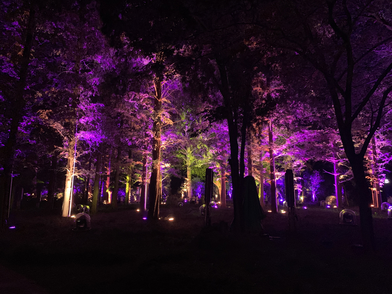 微信圖片_20191121182115 - 副本.jpg