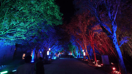 景區魔幻森林燈光秀