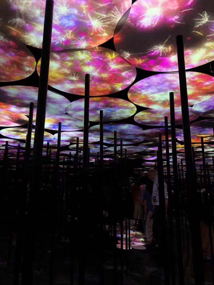 1584339799432211.jpg 沉浸式3.jpg