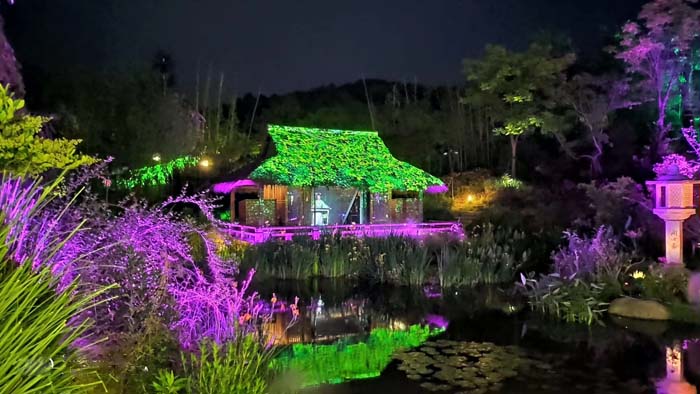 景區夜游 (2).jpg