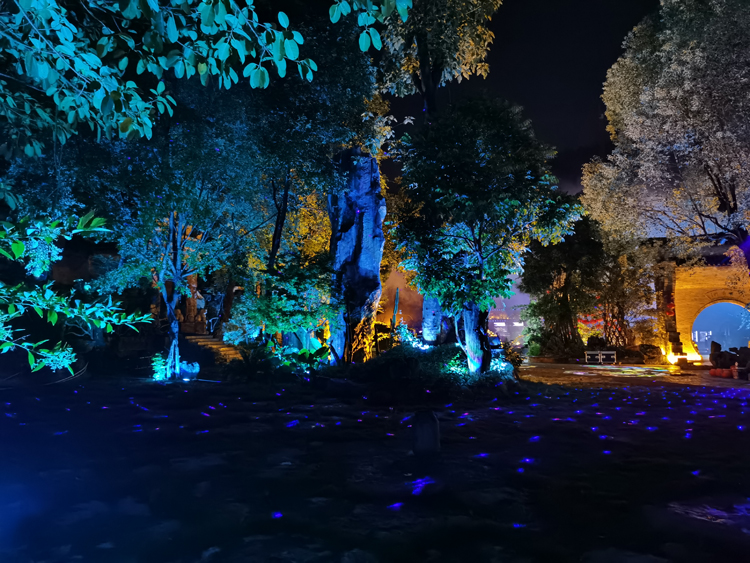 1605234534268819.jpg 6.jpg