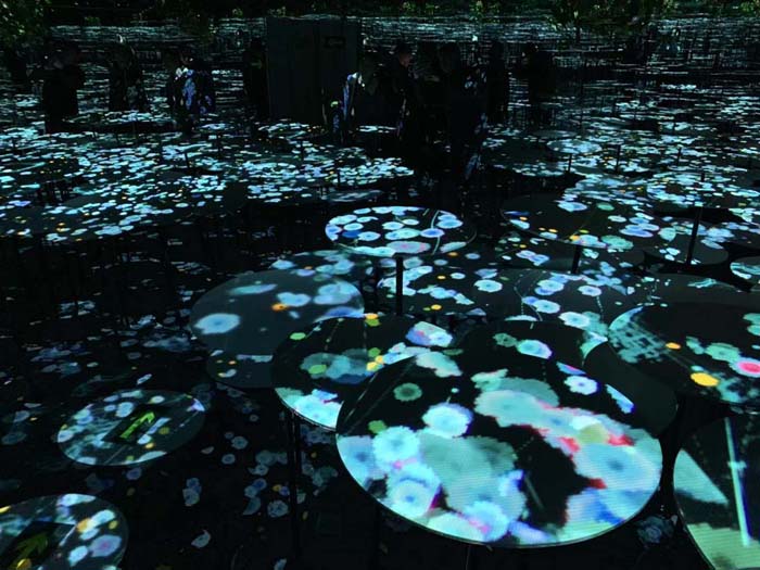 1628493991740447.jpg 沉浸式4.jpg