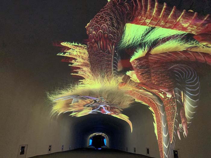 1629077408243129.jpg 投影內容制作2.jpg